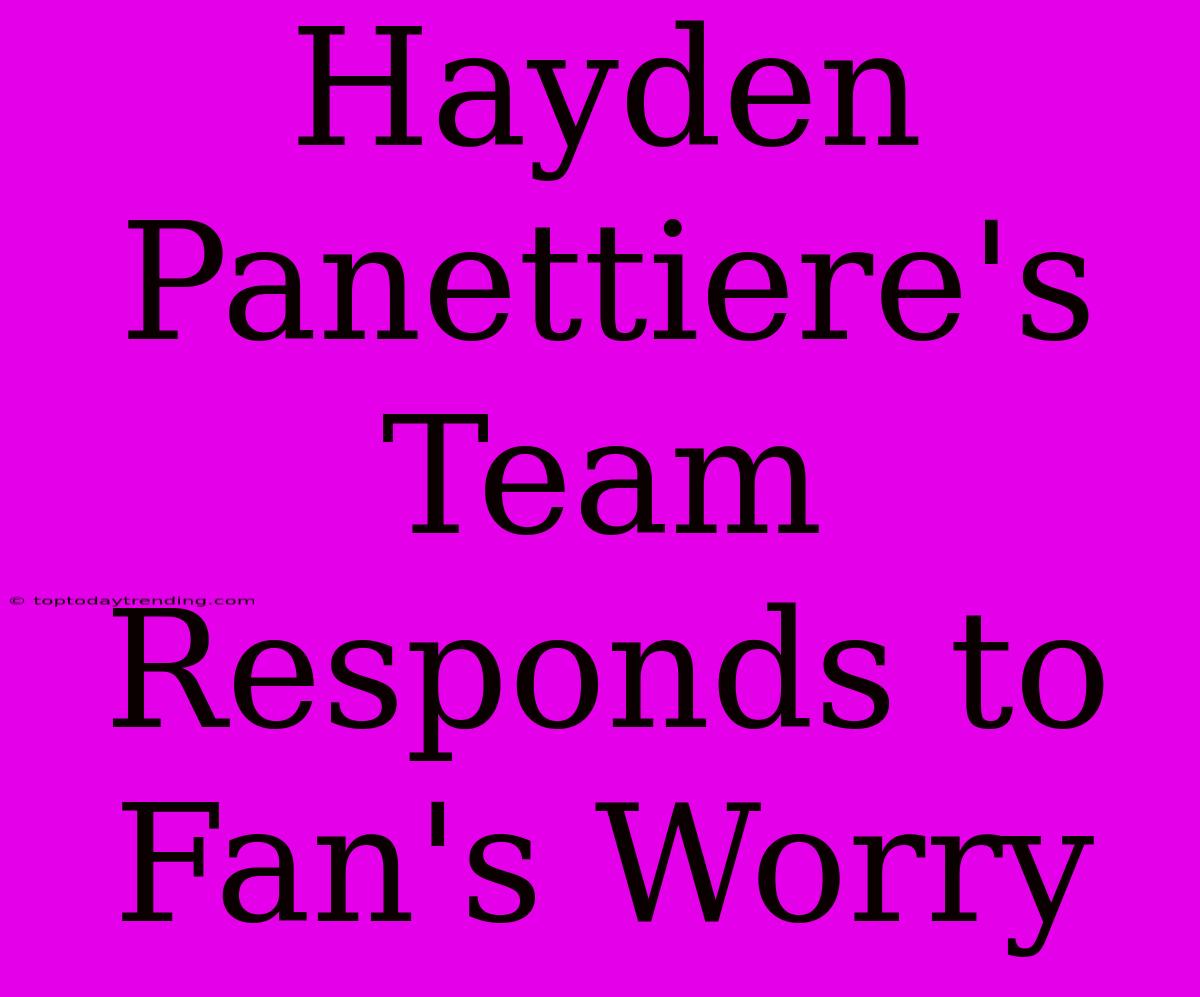 Hayden Panettiere's Team Responds To Fan's Worry