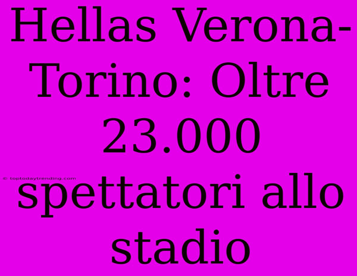 Hellas Verona-Torino: Oltre 23.000 Spettatori Allo Stadio