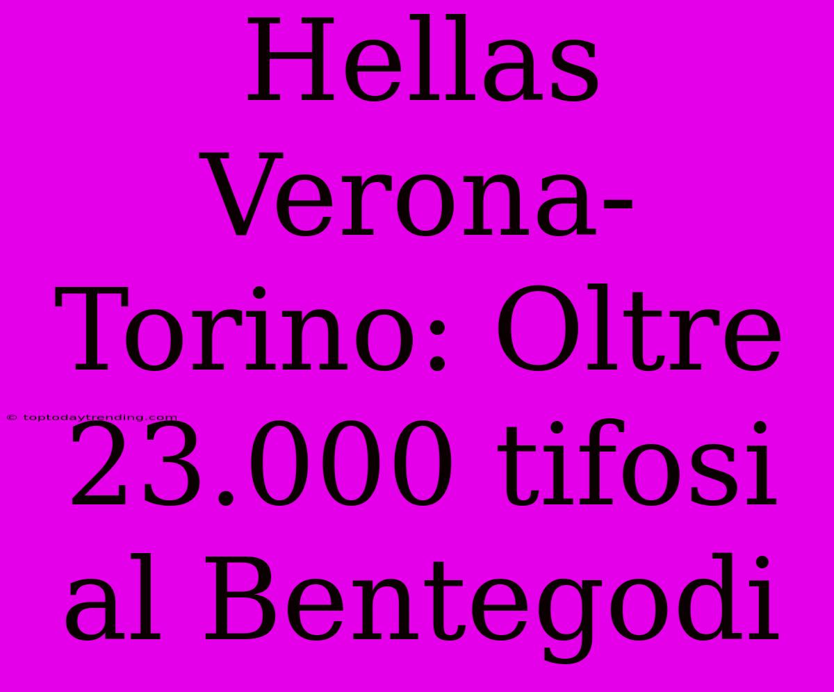 Hellas Verona-Torino: Oltre 23.000 Tifosi Al Bentegodi