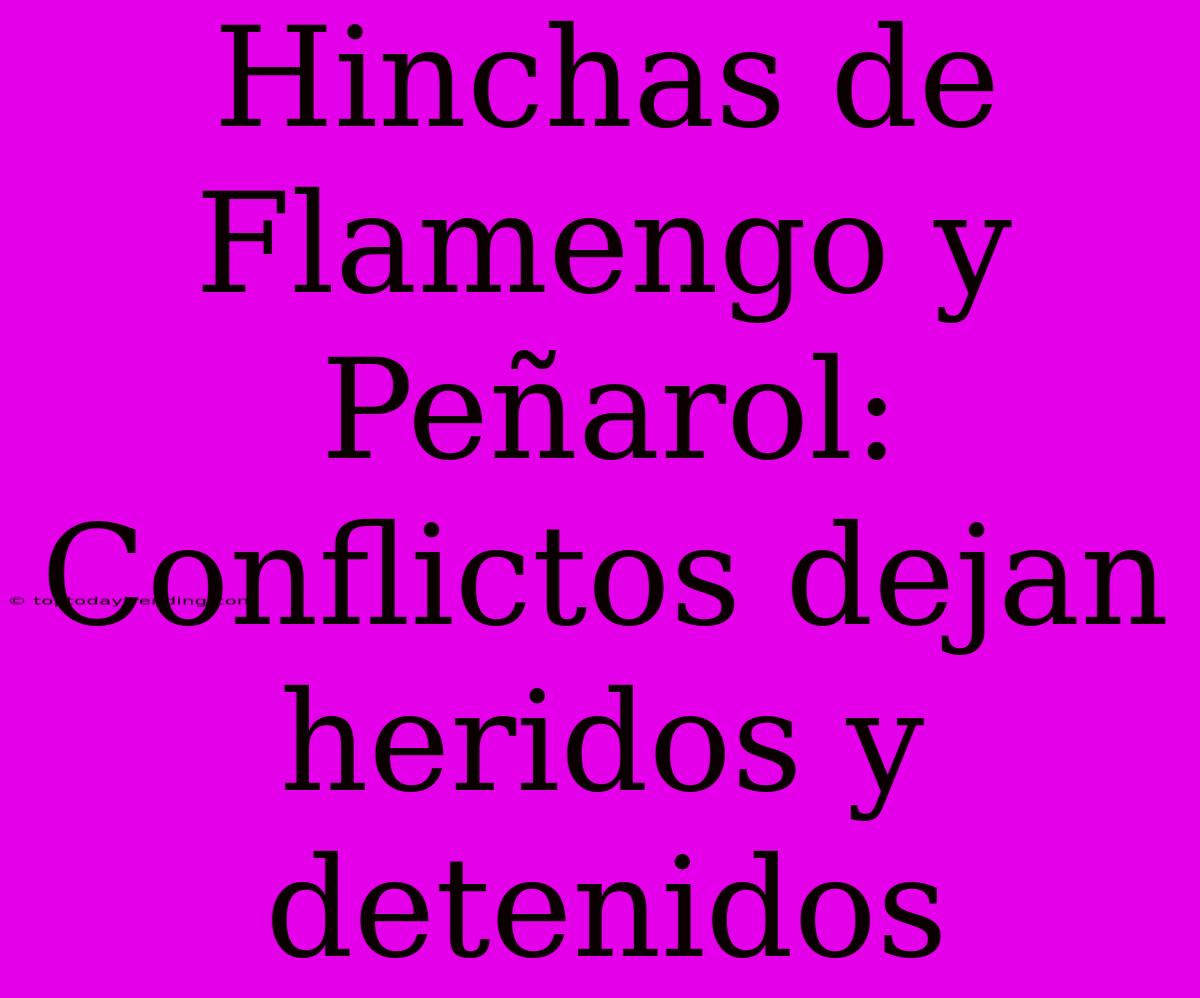 Hinchas De Flamengo Y Peñarol: Conflictos Dejan Heridos Y Detenidos