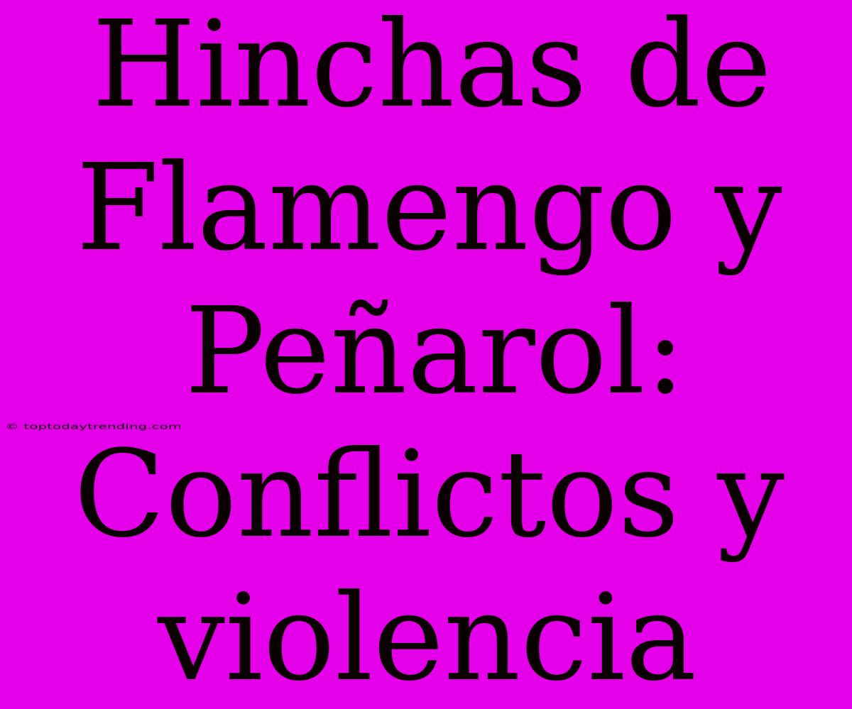 Hinchas De Flamengo Y Peñarol: Conflictos Y Violencia