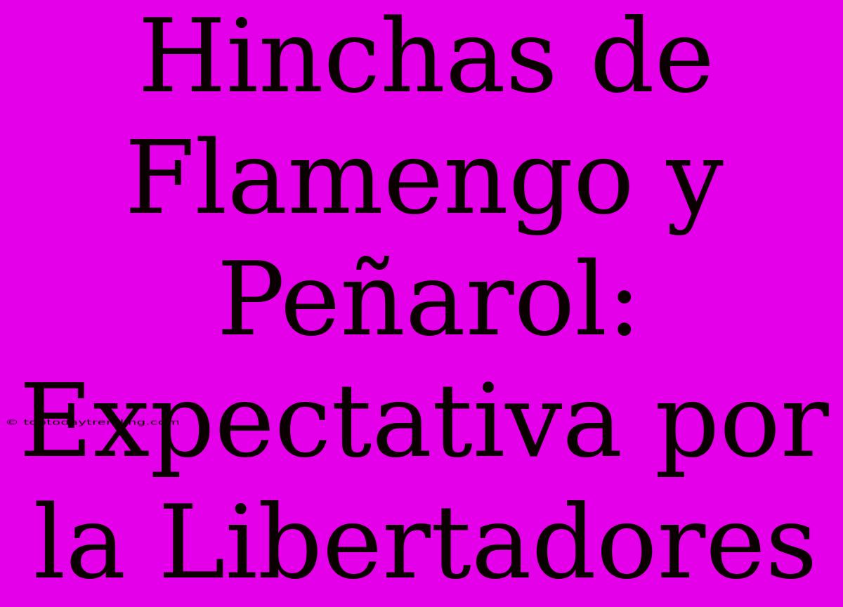 Hinchas De Flamengo Y Peñarol: Expectativa Por La Libertadores