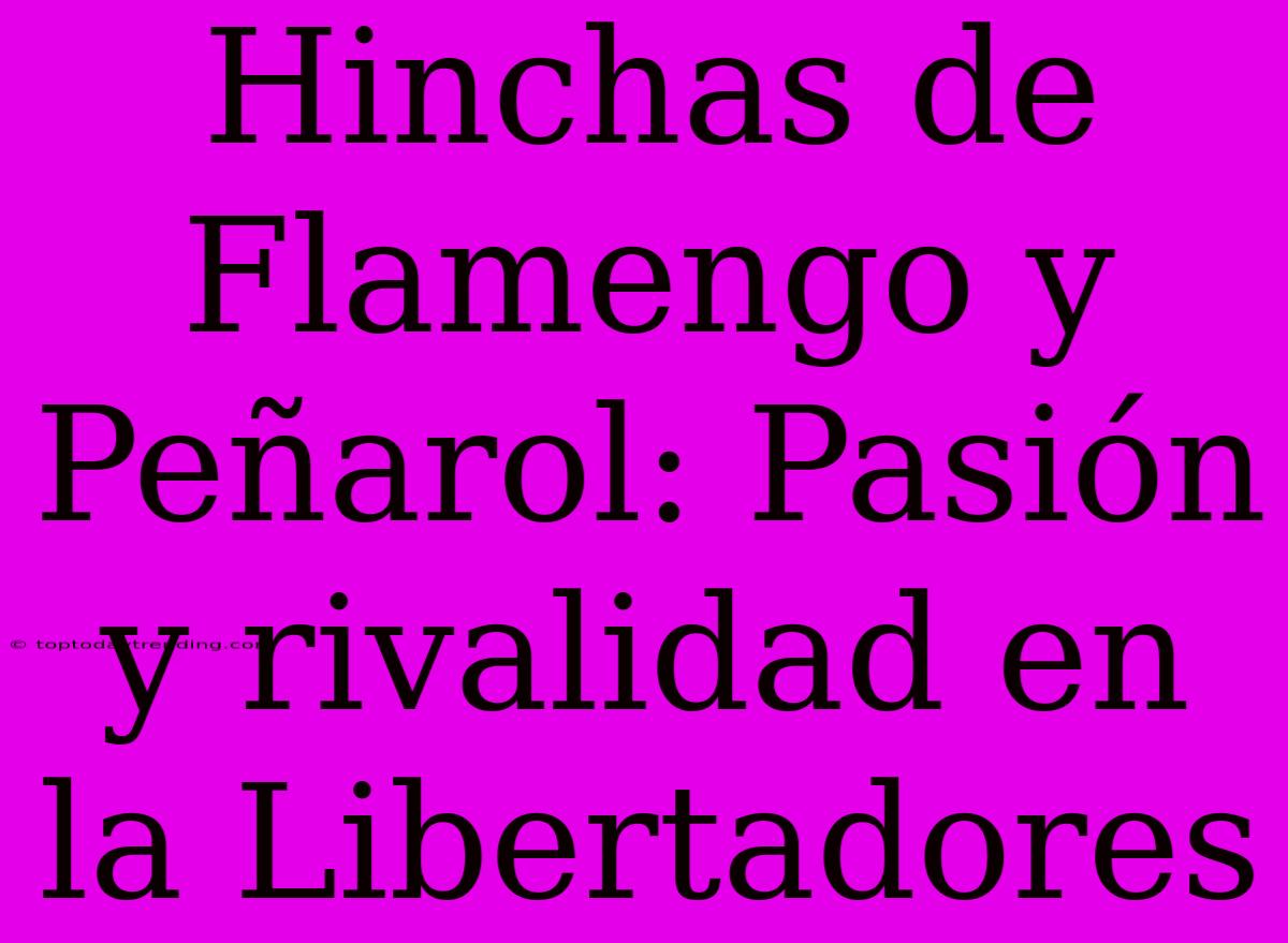 Hinchas De Flamengo Y Peñarol: Pasión Y Rivalidad En La Libertadores