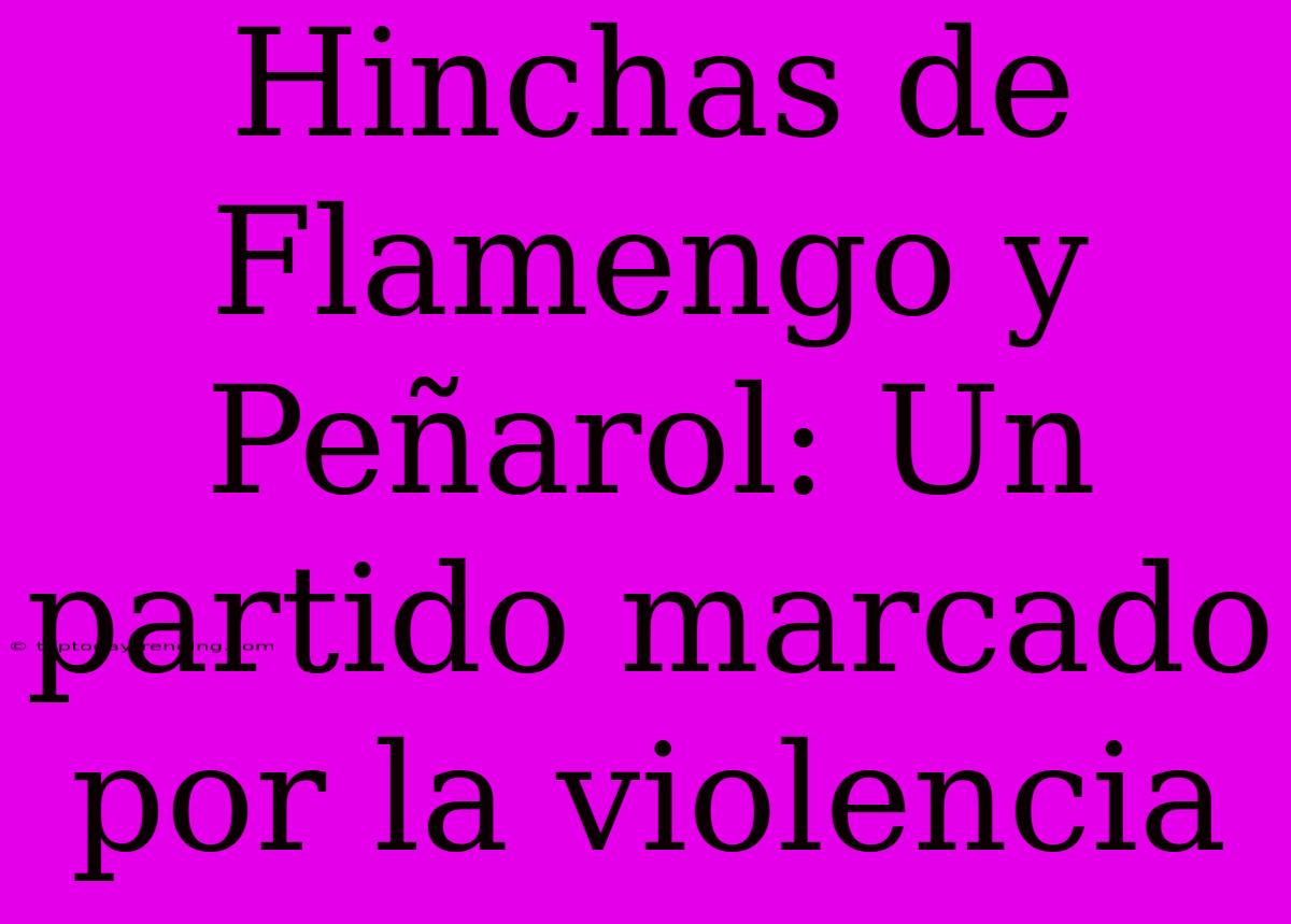 Hinchas De Flamengo Y Peñarol: Un Partido Marcado Por La Violencia