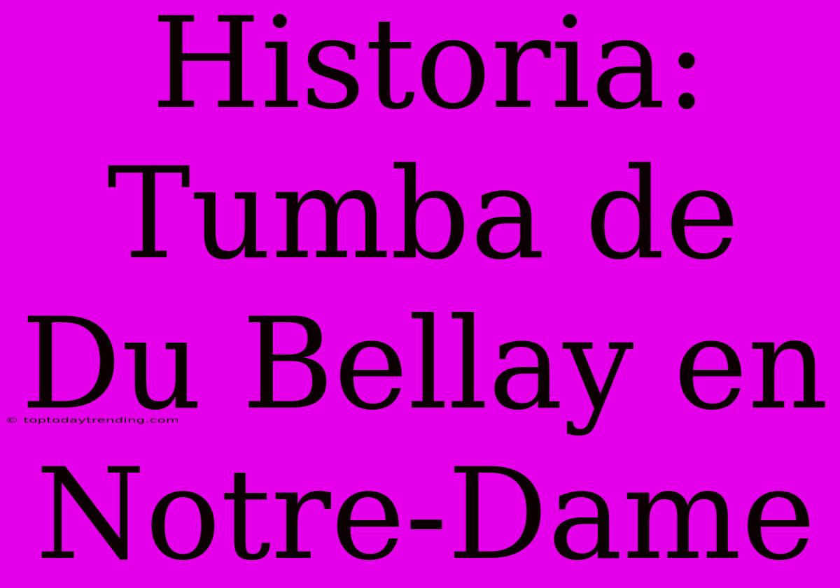 Historia: Tumba De Du Bellay En Notre-Dame