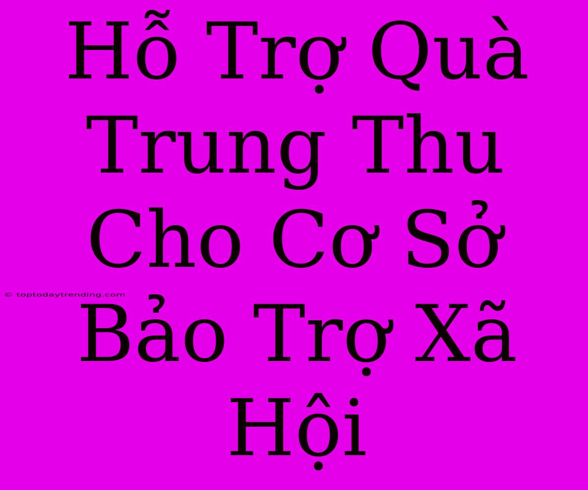 Hỗ Trợ Quà Trung Thu Cho Cơ Sở Bảo Trợ Xã Hội