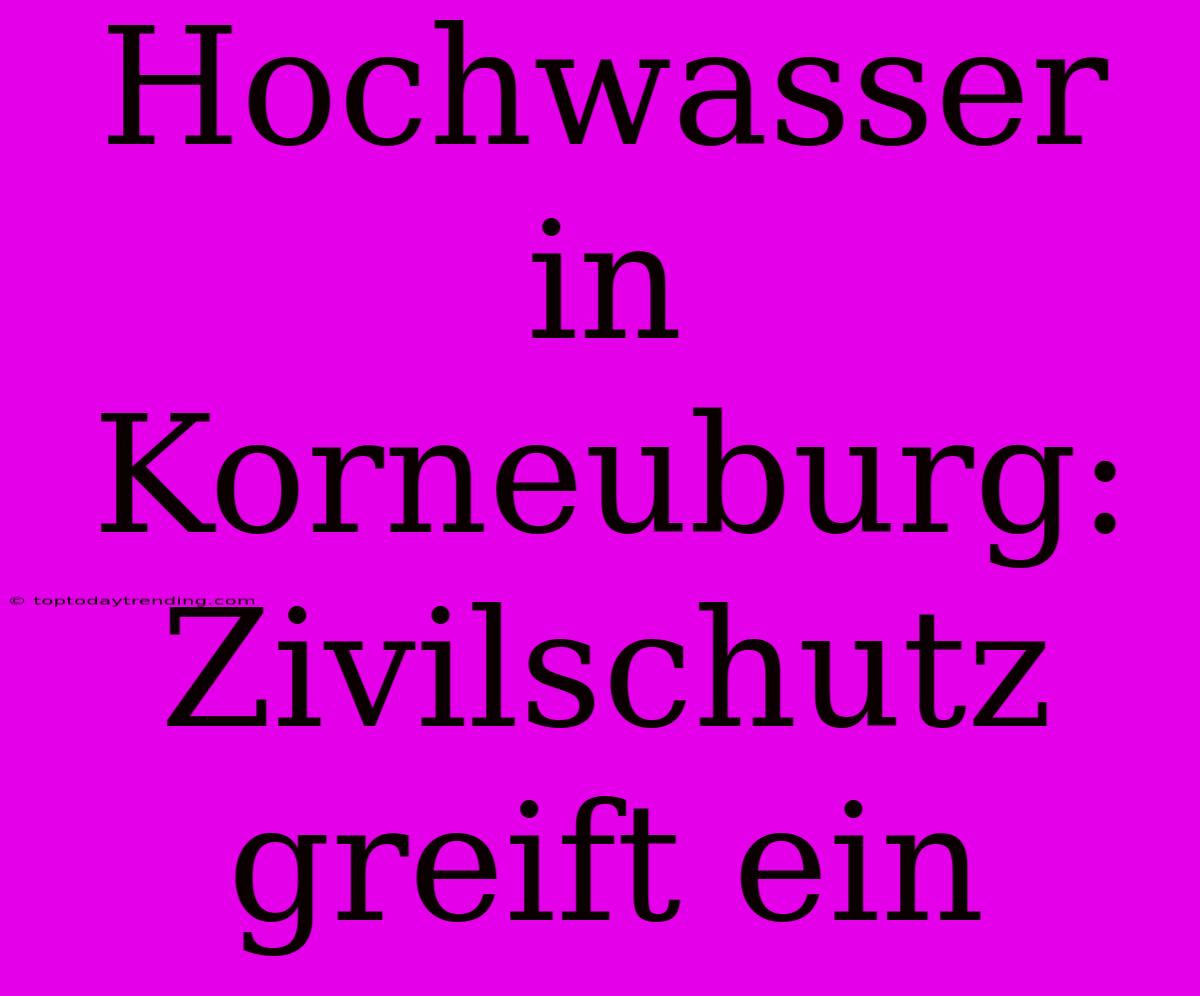 Hochwasser In Korneuburg: Zivilschutz Greift Ein