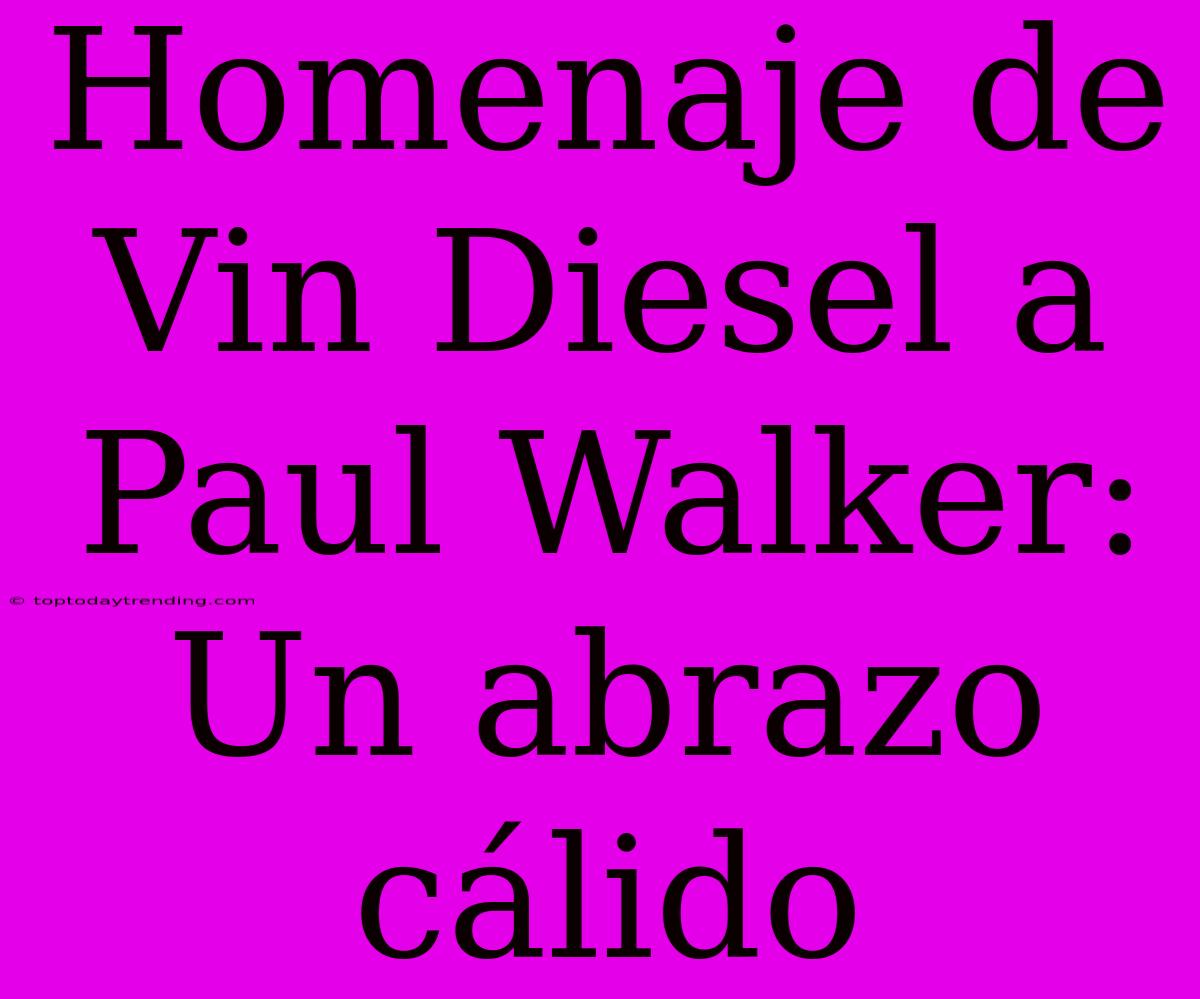 Homenaje De Vin Diesel A Paul Walker: Un Abrazo Cálido