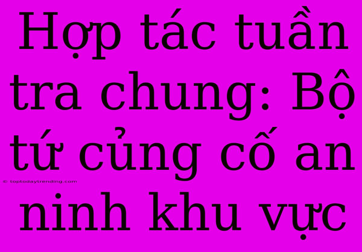 Hợp Tác Tuần Tra Chung: Bộ Tứ Củng Cố An Ninh Khu Vực