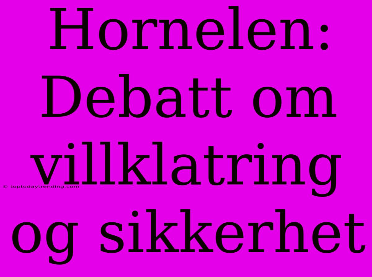 Hornelen: Debatt Om Villklatring Og Sikkerhet