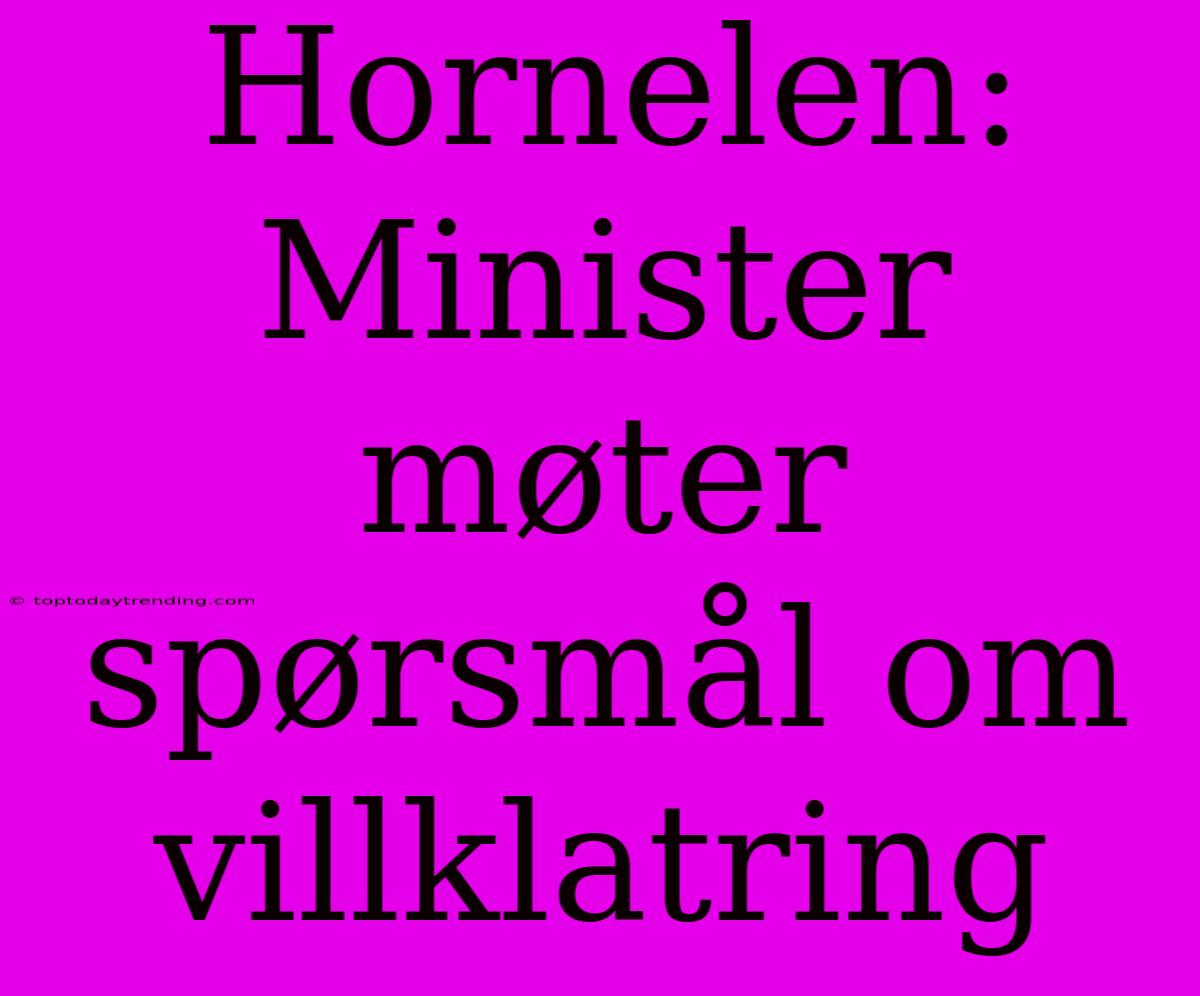 Hornelen: Minister Møter Spørsmål Om Villklatring