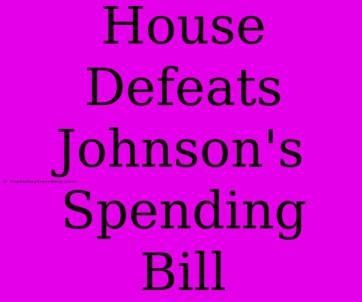 House Defeats Johnson's Spending Bill