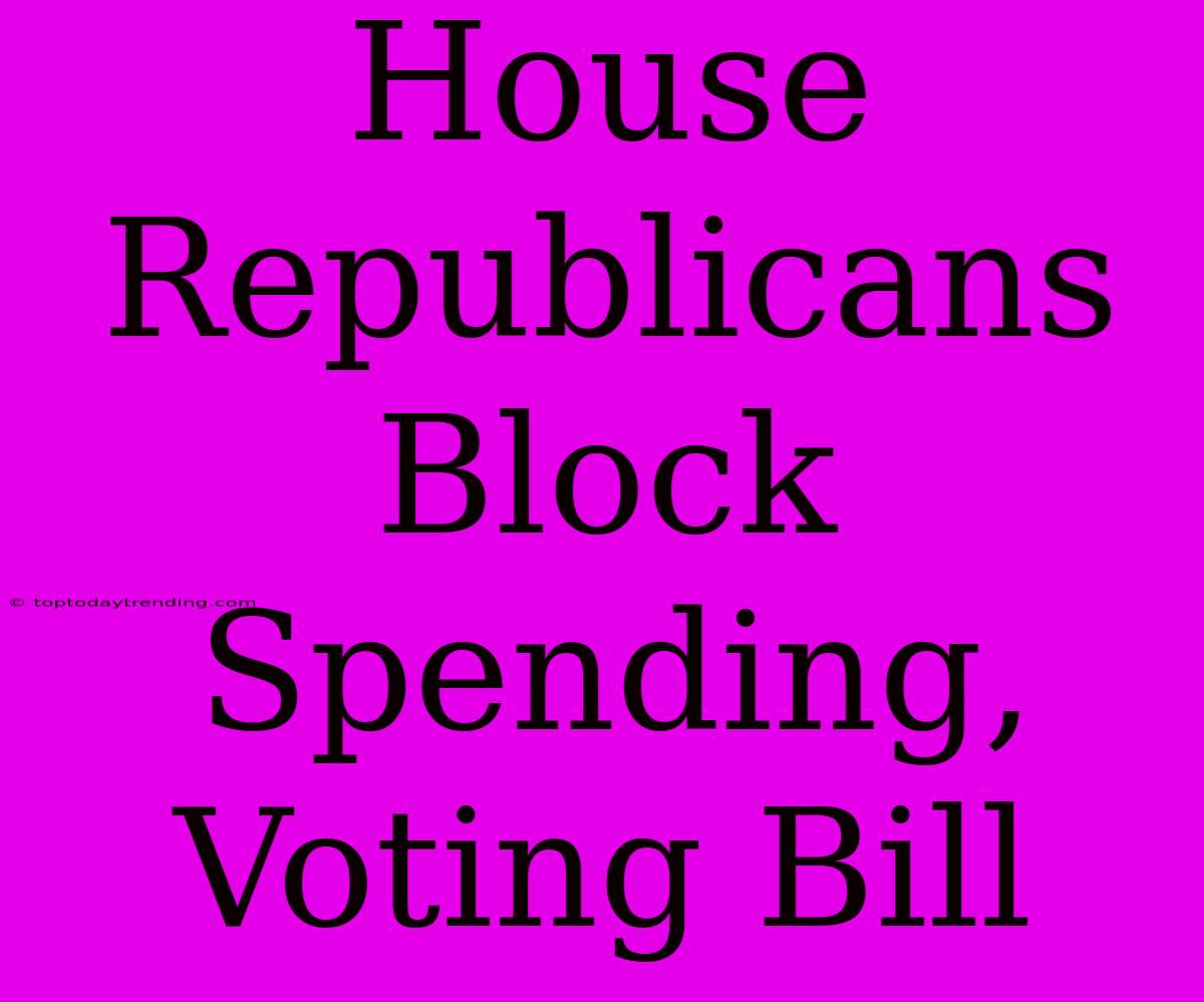 House Republicans Block Spending, Voting Bill