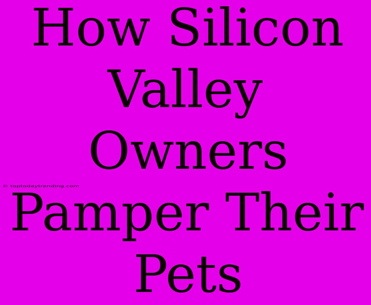 How Silicon Valley Owners Pamper Their Pets