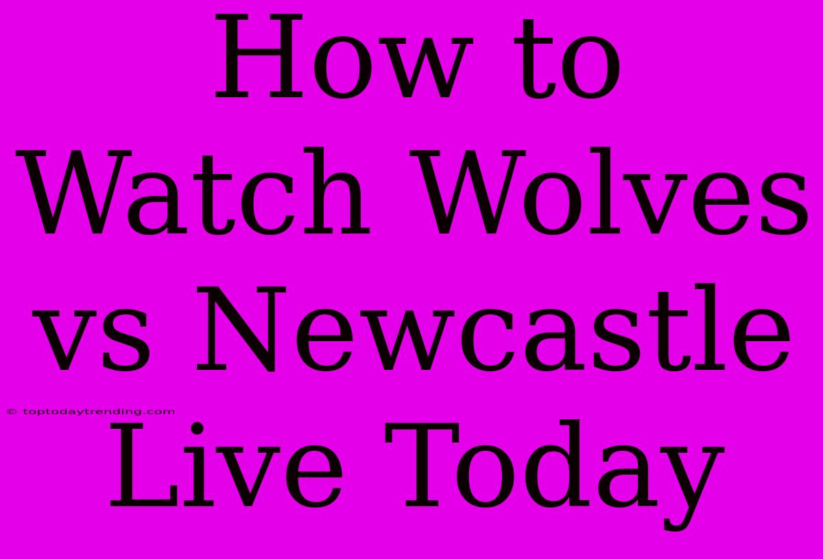 How To Watch Wolves Vs Newcastle Live Today