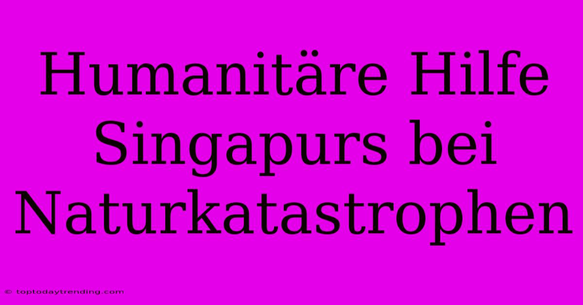 Humanitäre Hilfe Singapurs Bei Naturkatastrophen