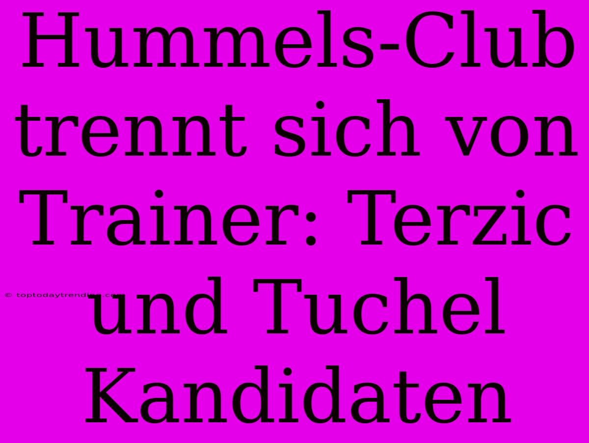 Hummels-Club Trennt Sich Von Trainer: Terzic Und Tuchel Kandidaten