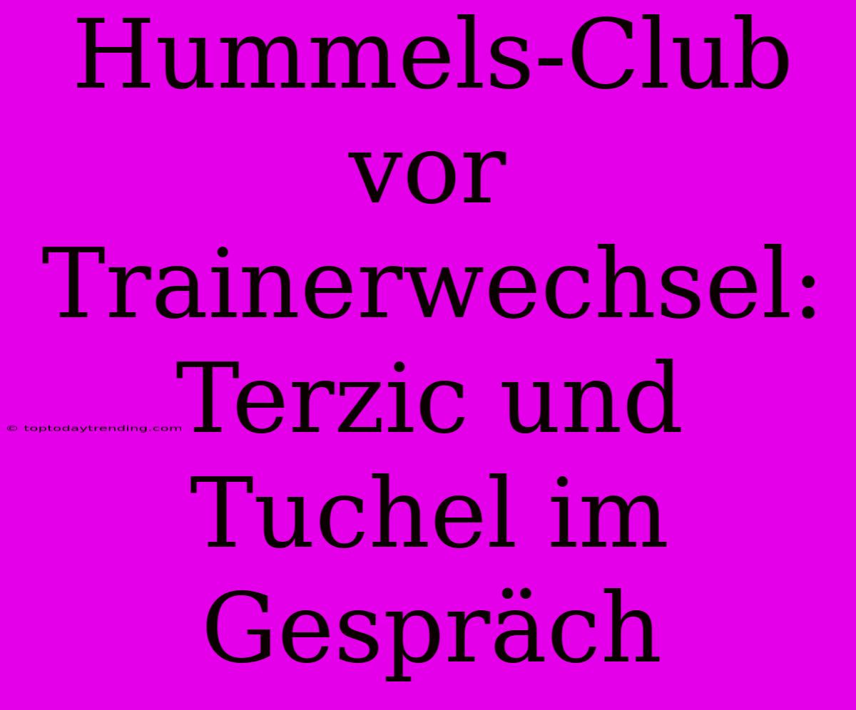 Hummels-Club Vor Trainerwechsel: Terzic Und Tuchel Im Gespräch