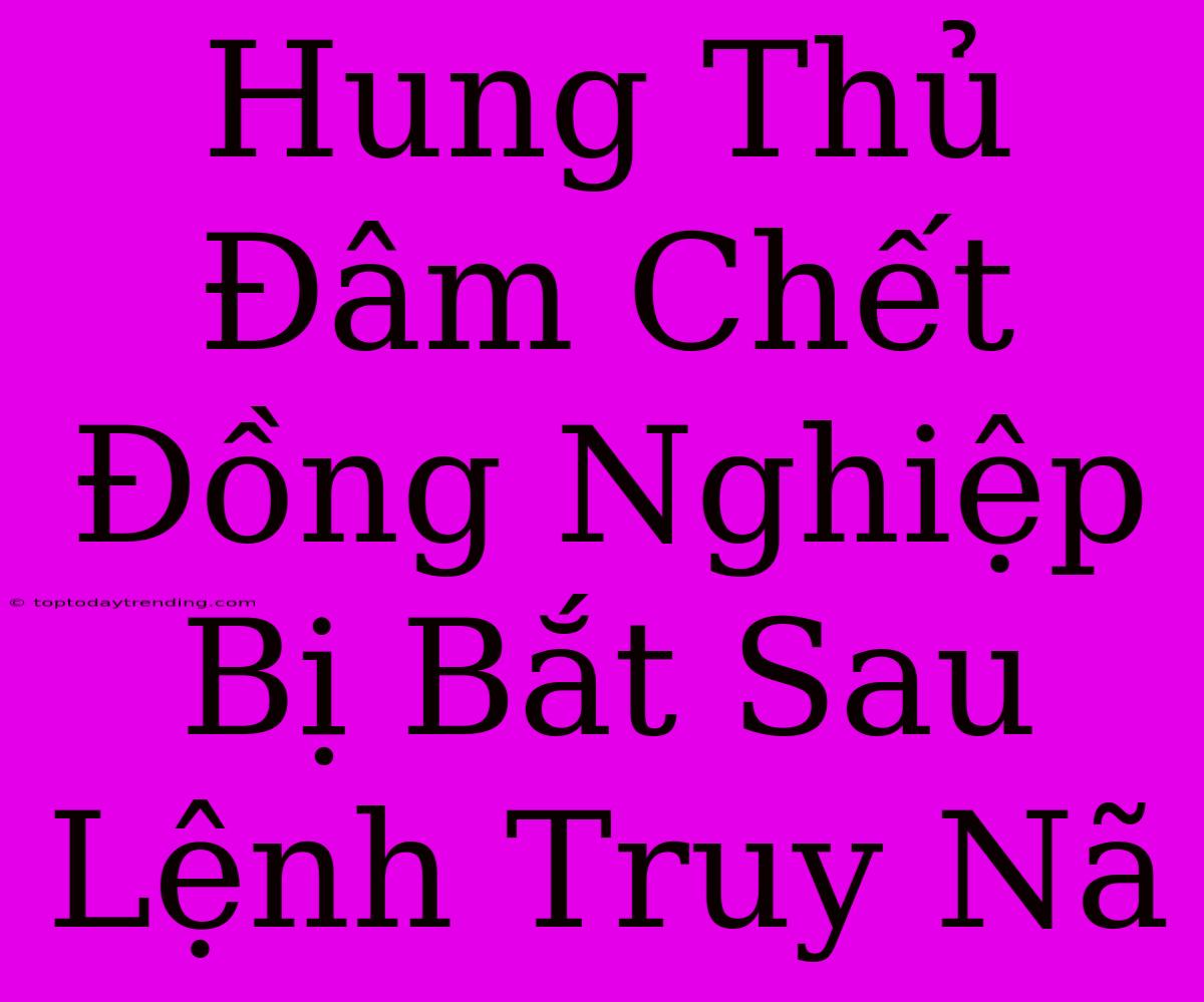 Hung Thủ Đâm Chết Đồng Nghiệp Bị Bắt Sau Lệnh Truy Nã