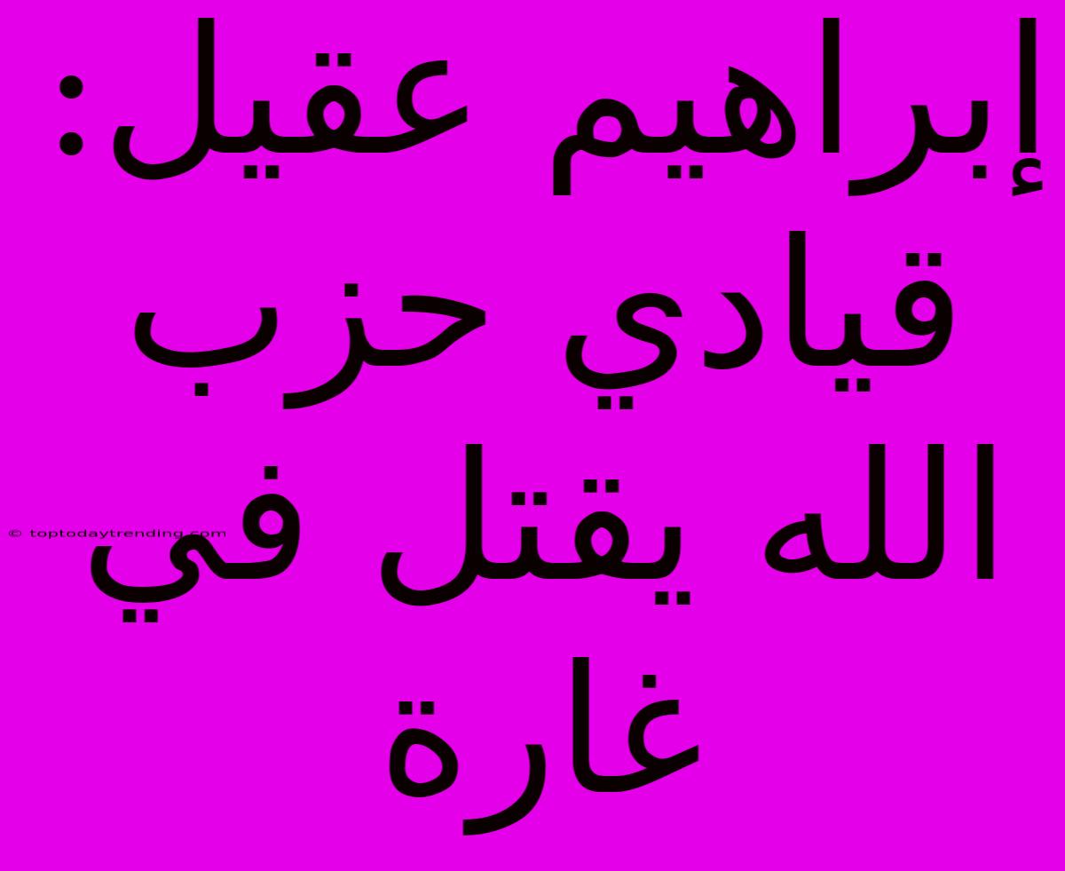 إبراهيم عقيل: قيادي حزب الله يقتل في غارة