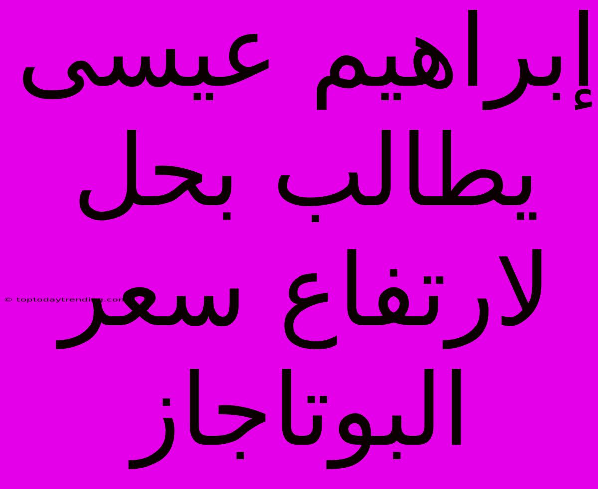 إبراهيم عيسى يطالب بحل لارتفاع سعر البوتاجاز