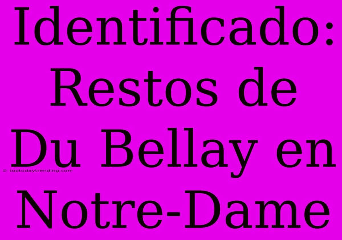 Identificado: Restos De Du Bellay En Notre-Dame