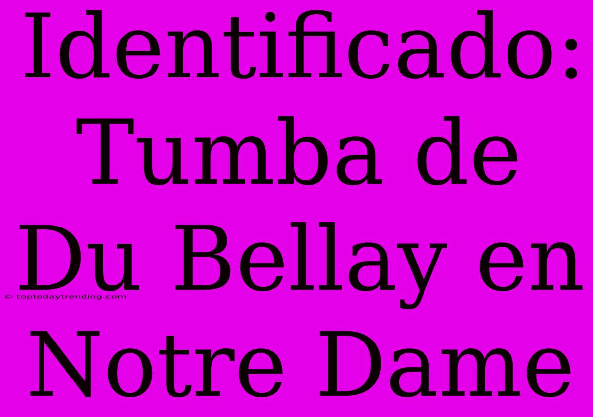 Identificado: Tumba De Du Bellay En Notre Dame