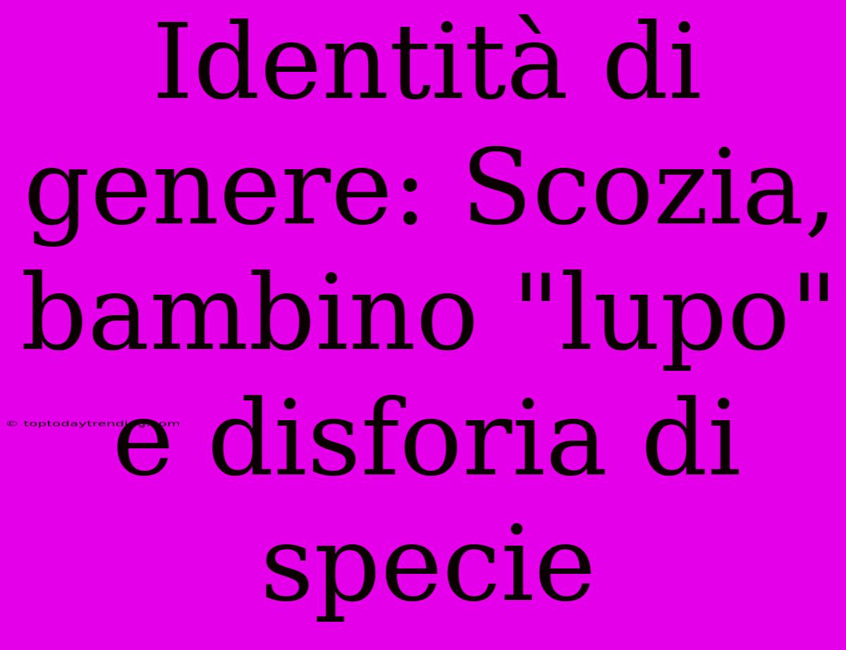 Identità Di Genere: Scozia, Bambino 