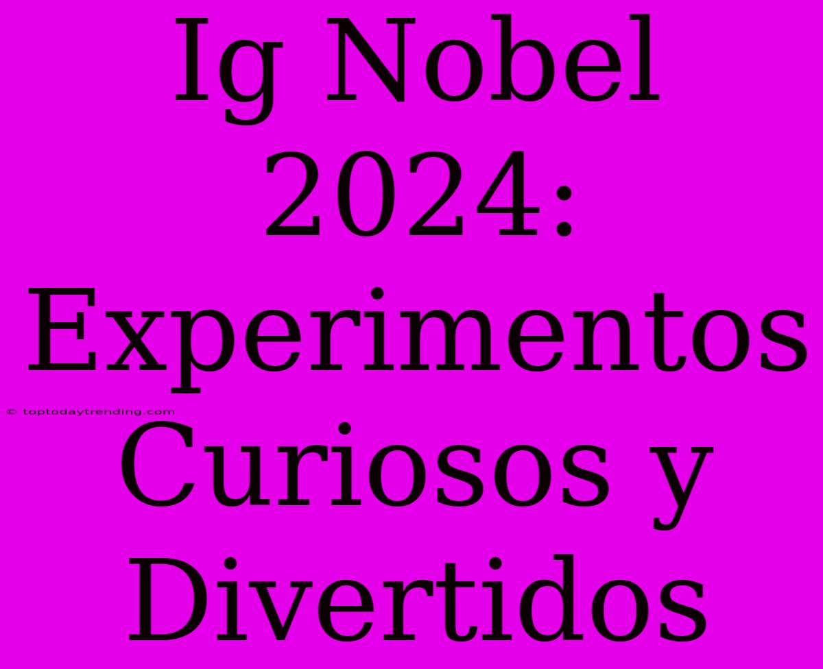 Ig Nobel 2024: Experimentos Curiosos Y Divertidos