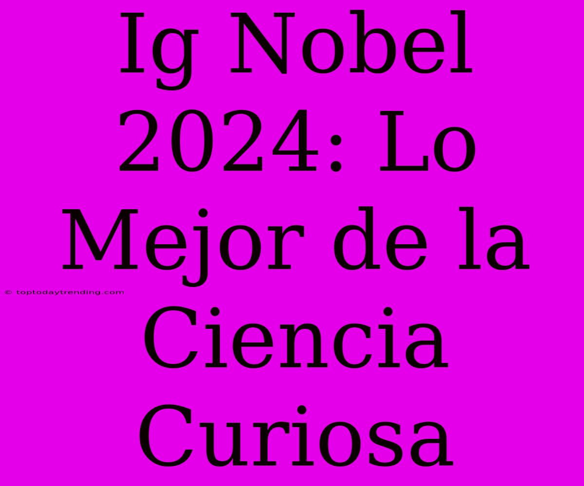 Ig Nobel 2024: Lo Mejor De La Ciencia Curiosa