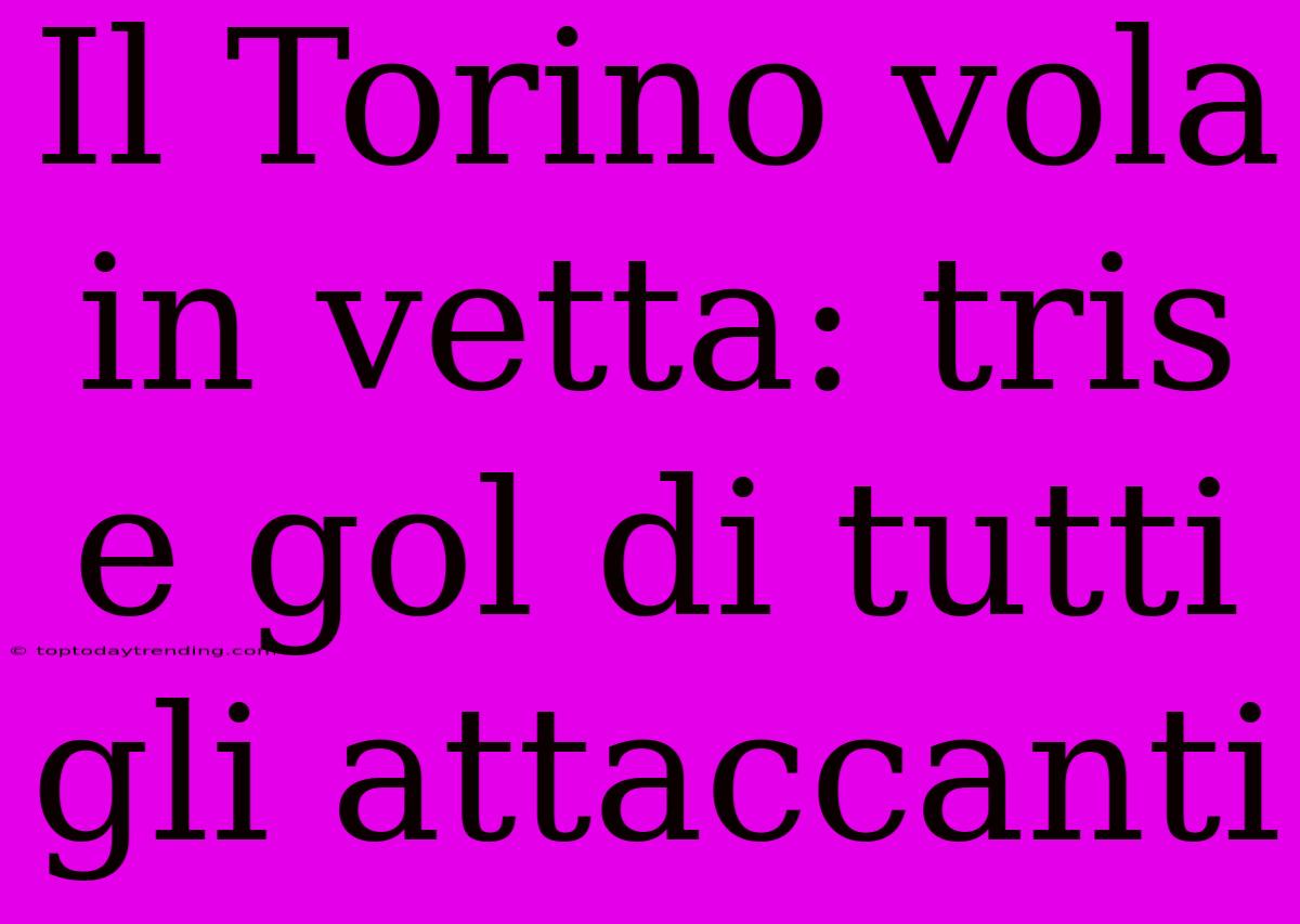 Il Torino Vola In Vetta: Tris E Gol Di Tutti Gli Attaccanti