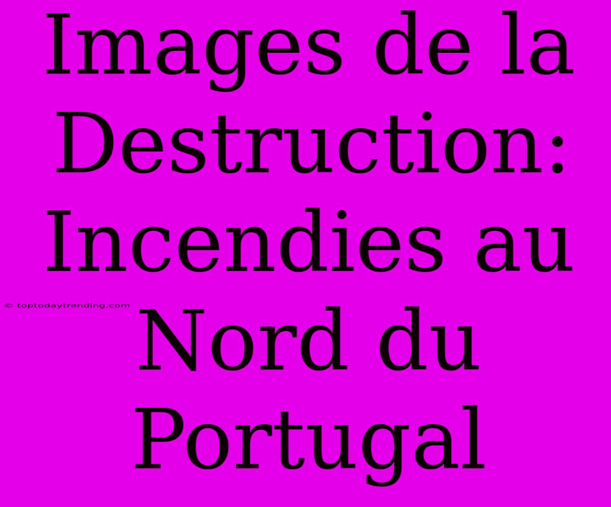 Images De La Destruction: Incendies Au Nord Du Portugal