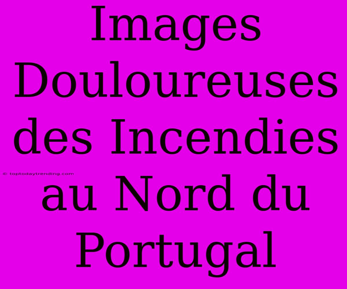 Images Douloureuses Des Incendies Au Nord Du Portugal