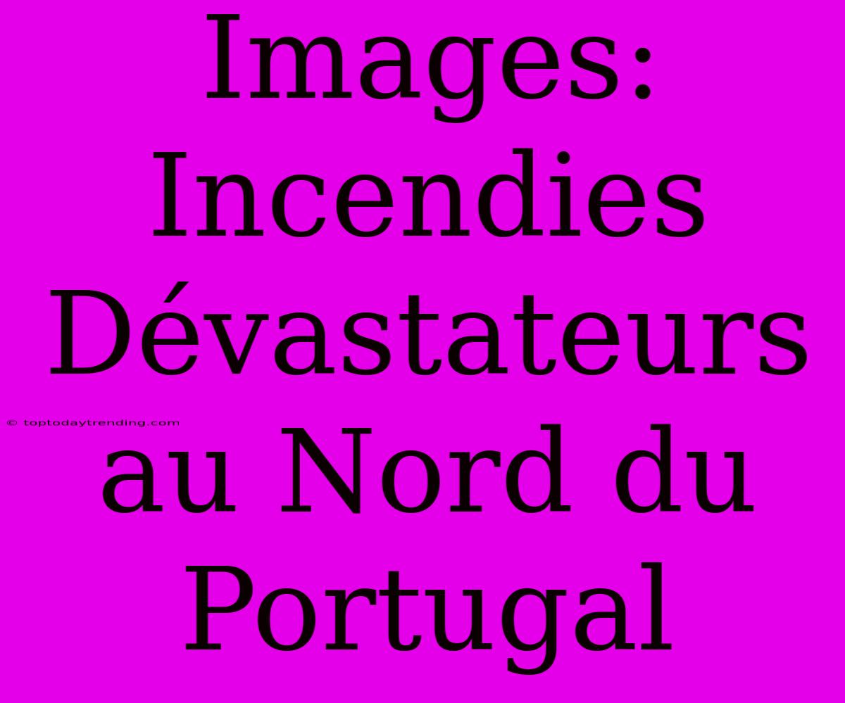 Images: Incendies Dévastateurs Au Nord Du Portugal