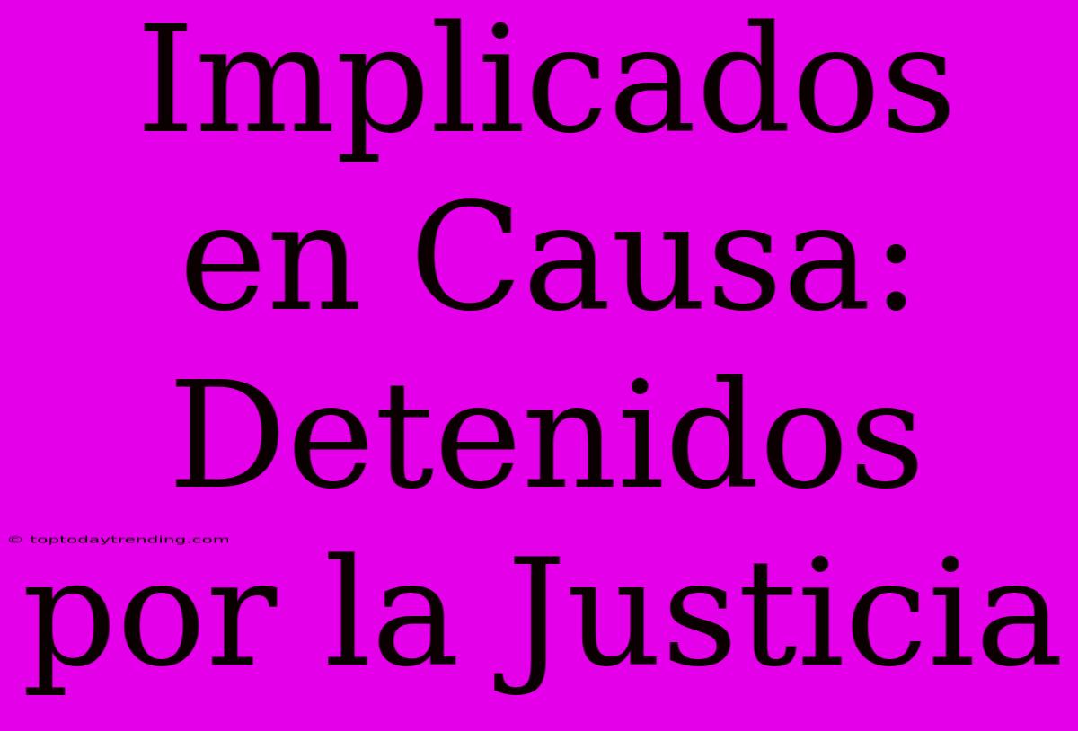 Implicados En Causa: Detenidos Por La Justicia