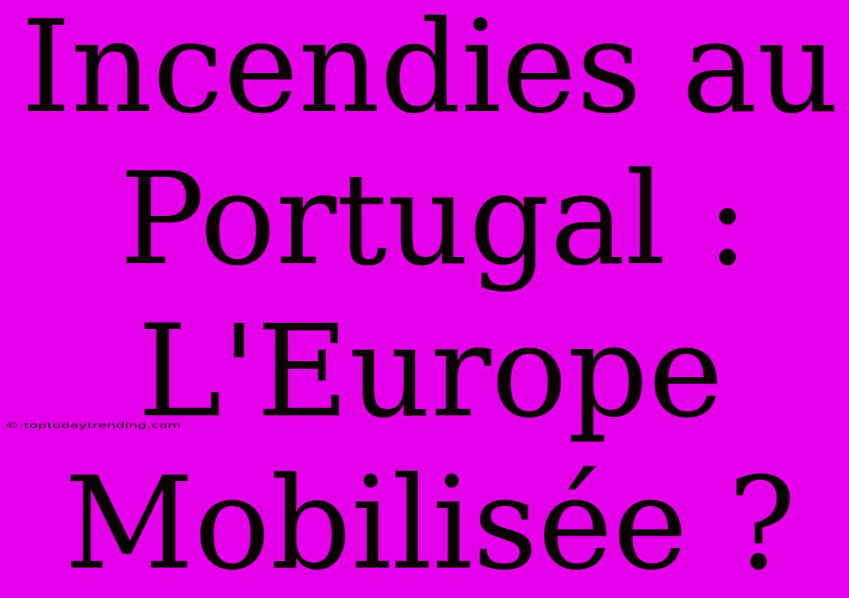 Incendies Au Portugal : L'Europe Mobilisée ?