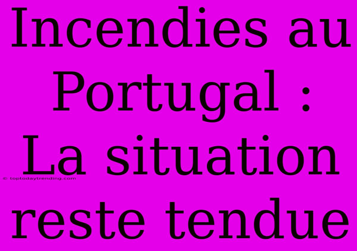 Incendies Au Portugal : La Situation Reste Tendue