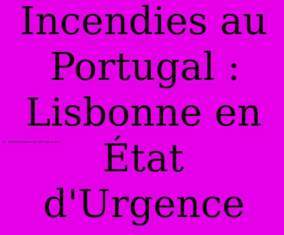 Incendies Au Portugal : Lisbonne En État D'Urgence