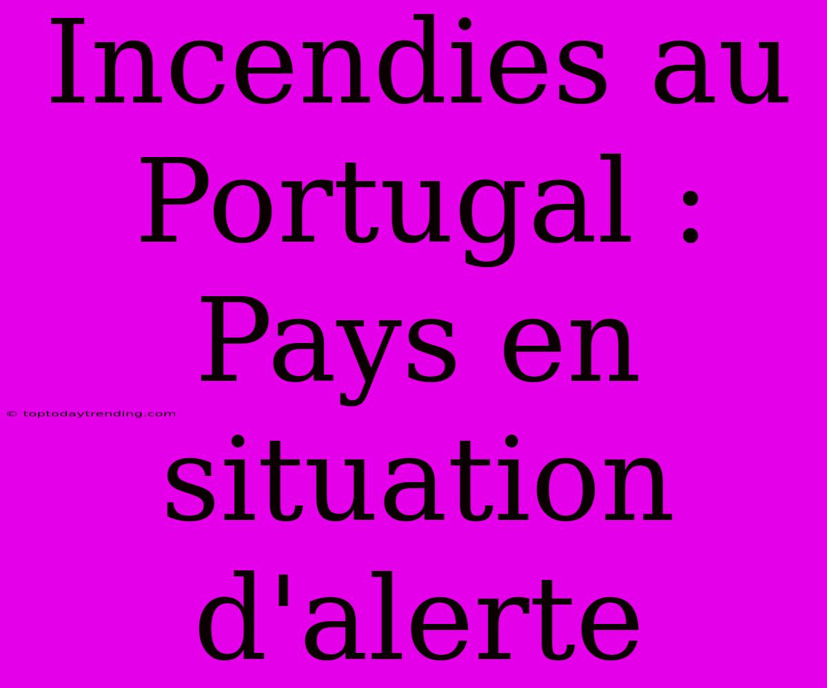 Incendies Au Portugal : Pays En Situation D'alerte