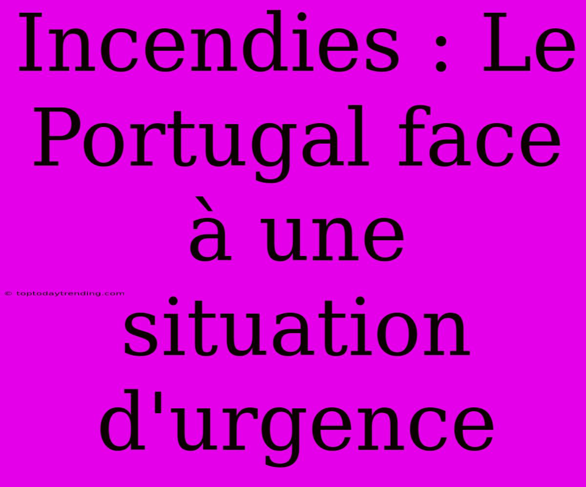 Incendies : Le Portugal Face À Une Situation D'urgence