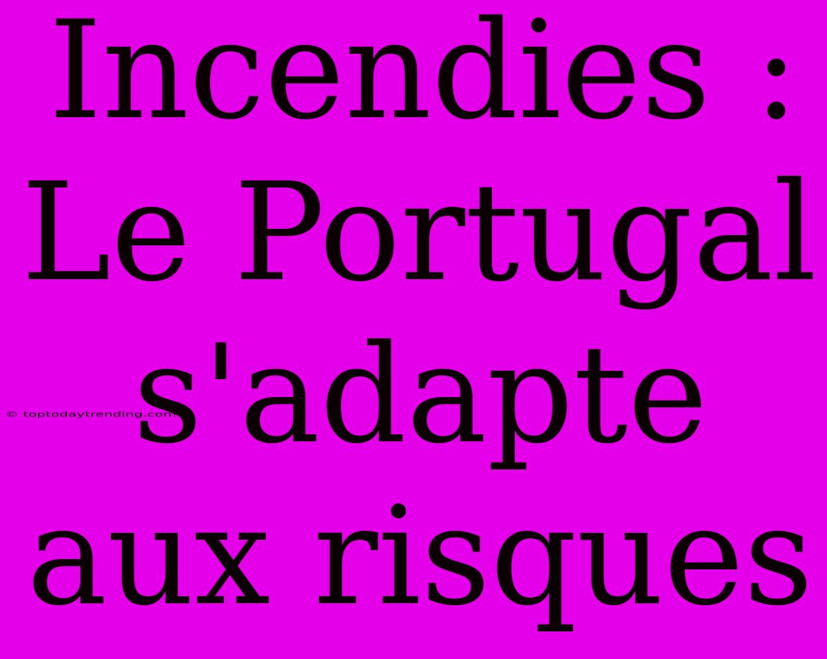 Incendies : Le Portugal S'adapte Aux Risques