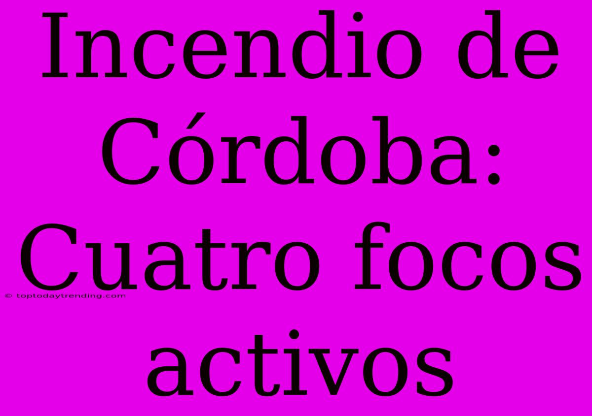 Incendio De Córdoba: Cuatro Focos Activos