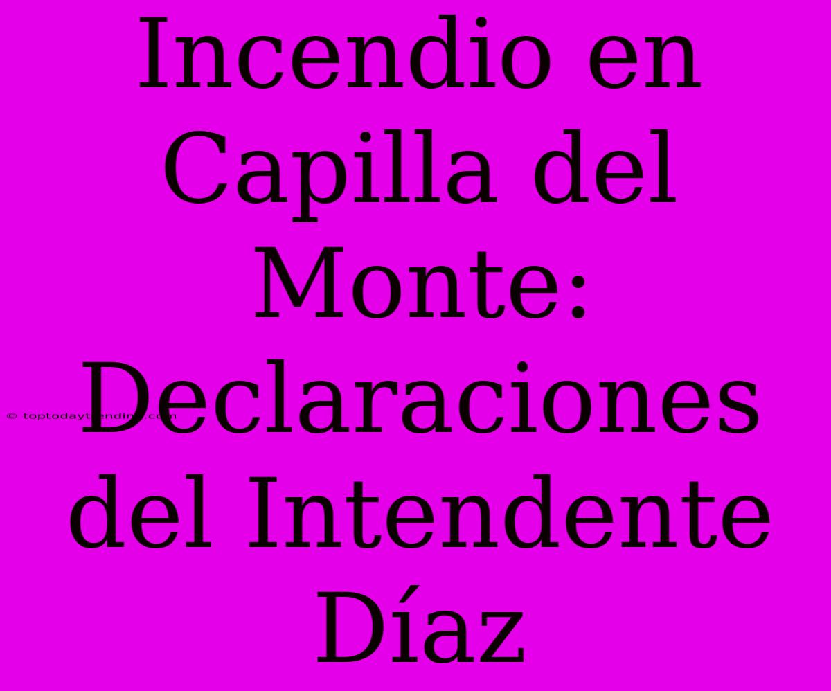 Incendio En Capilla Del Monte: Declaraciones Del Intendente Díaz