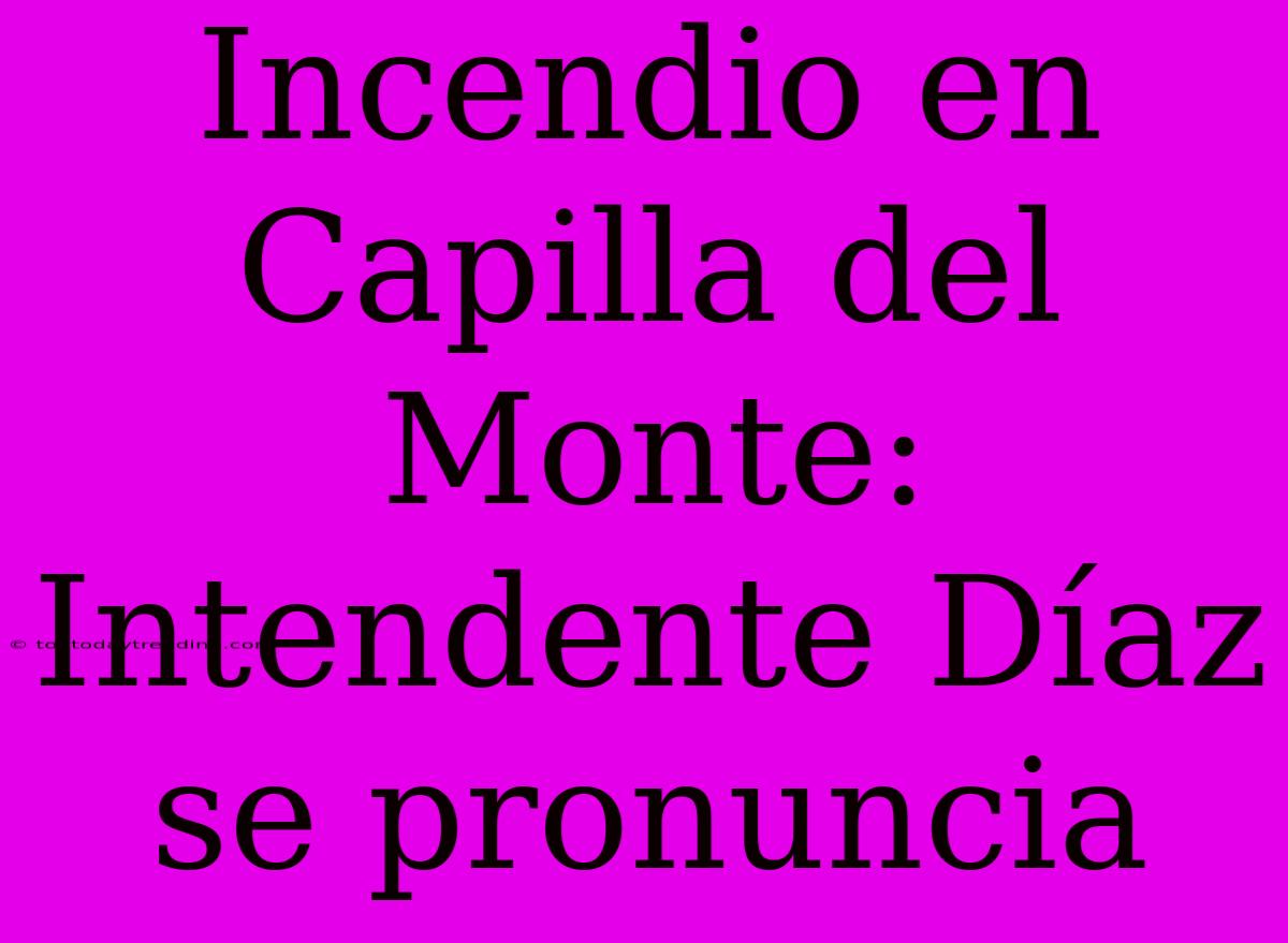 Incendio En Capilla Del Monte: Intendente Díaz Se Pronuncia