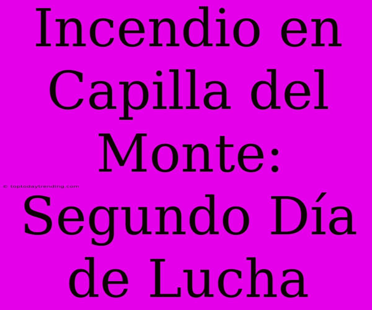 Incendio En Capilla Del Monte: Segundo Día De Lucha