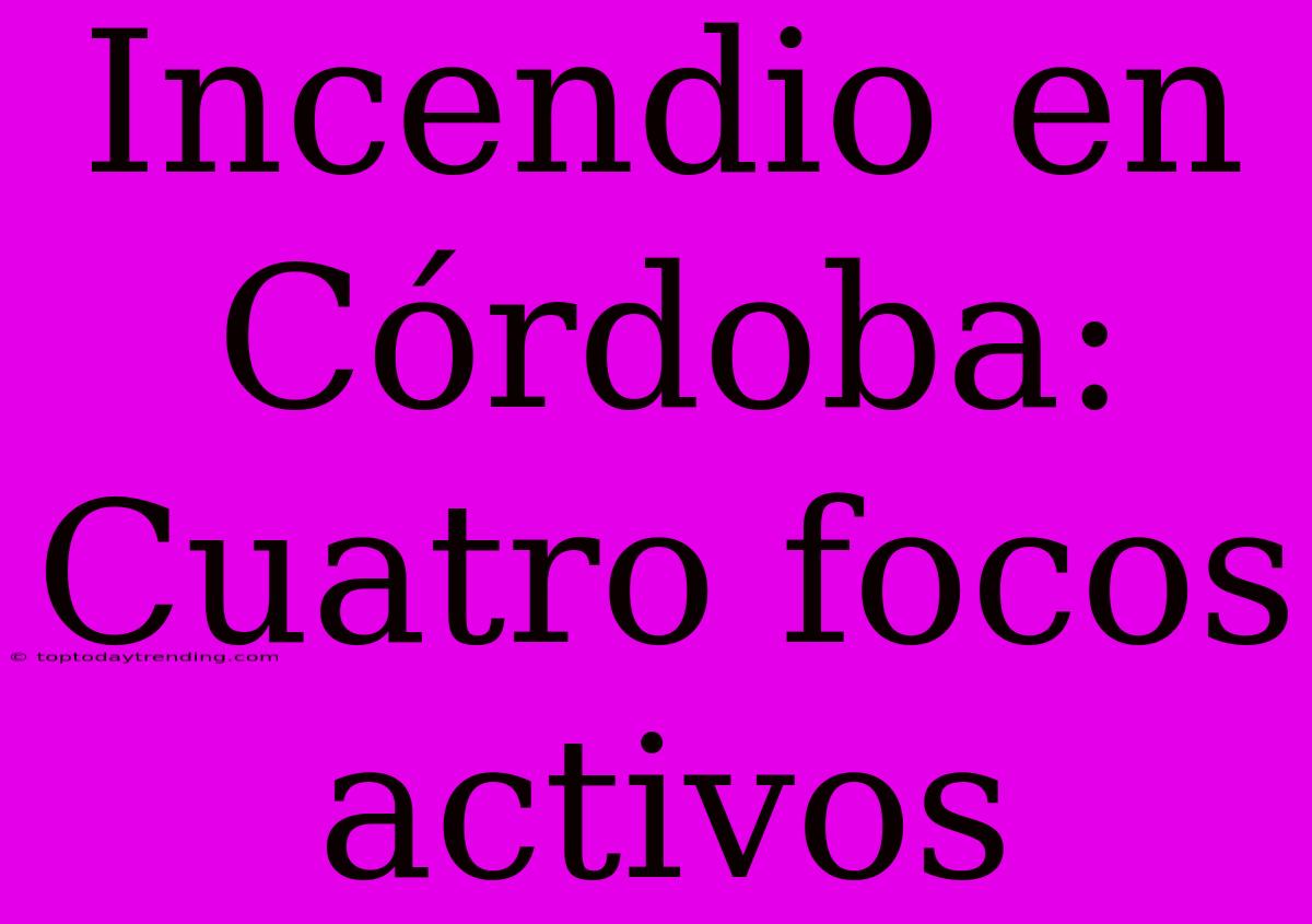 Incendio En Córdoba: Cuatro Focos Activos