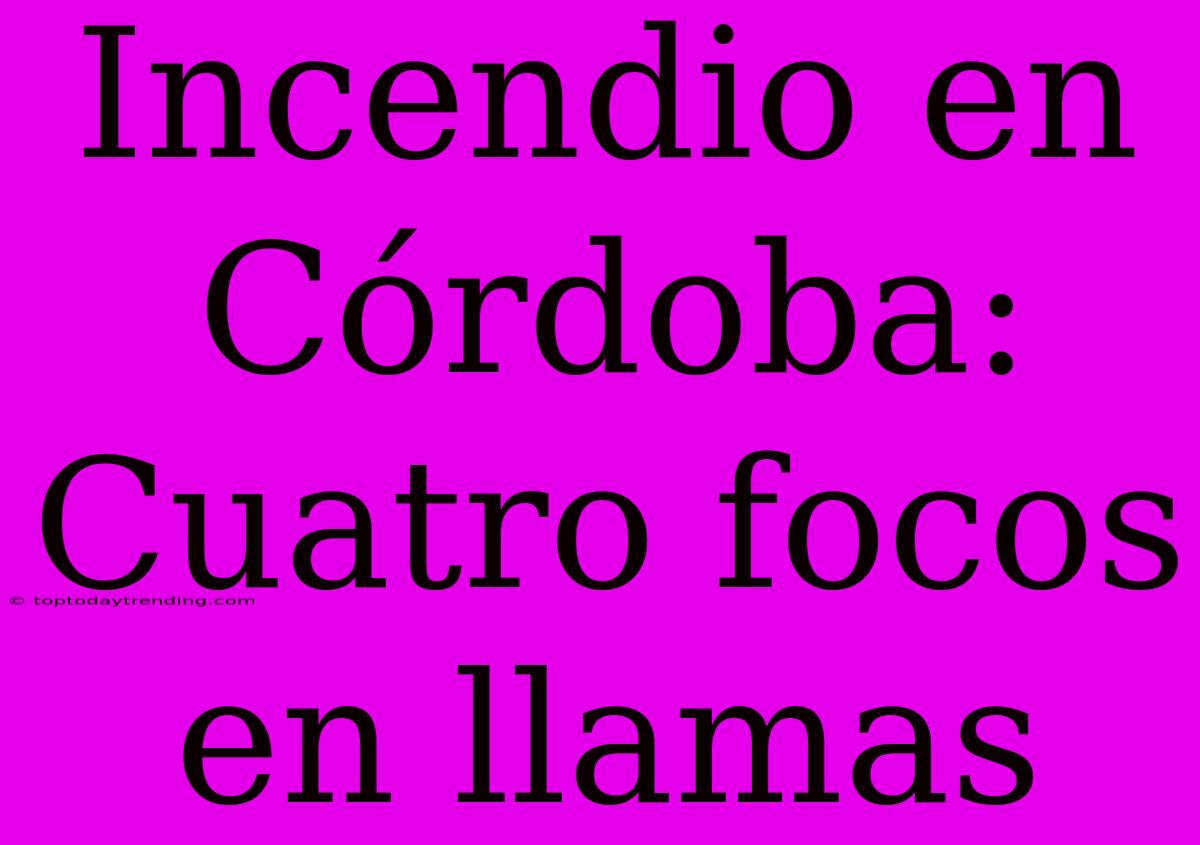 Incendio En Córdoba: Cuatro Focos En Llamas