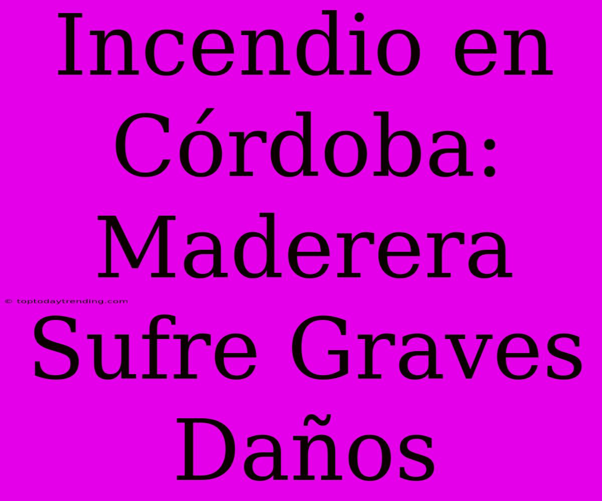 Incendio En Córdoba: Maderera Sufre Graves Daños