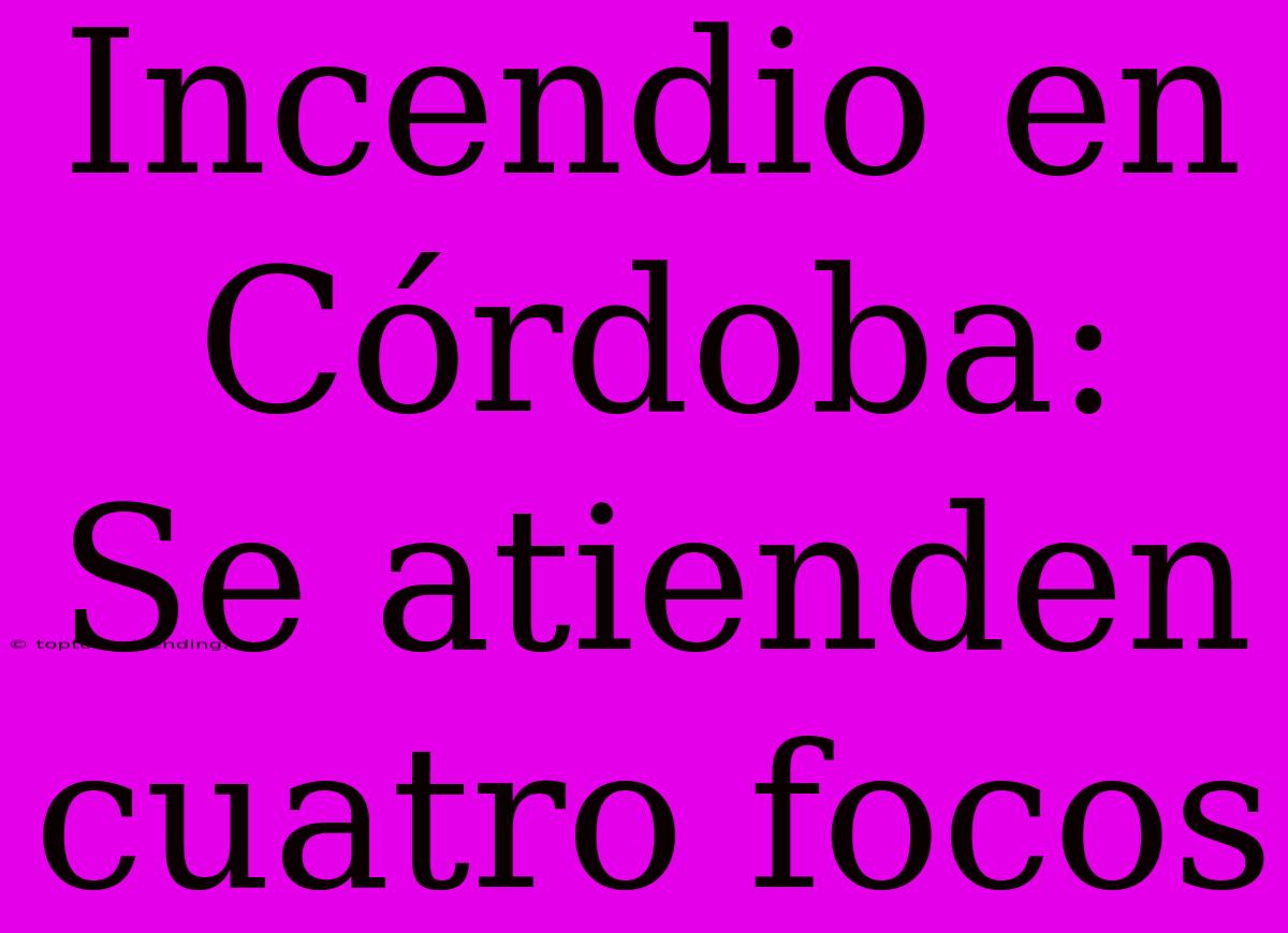 Incendio En Córdoba: Se Atienden Cuatro Focos