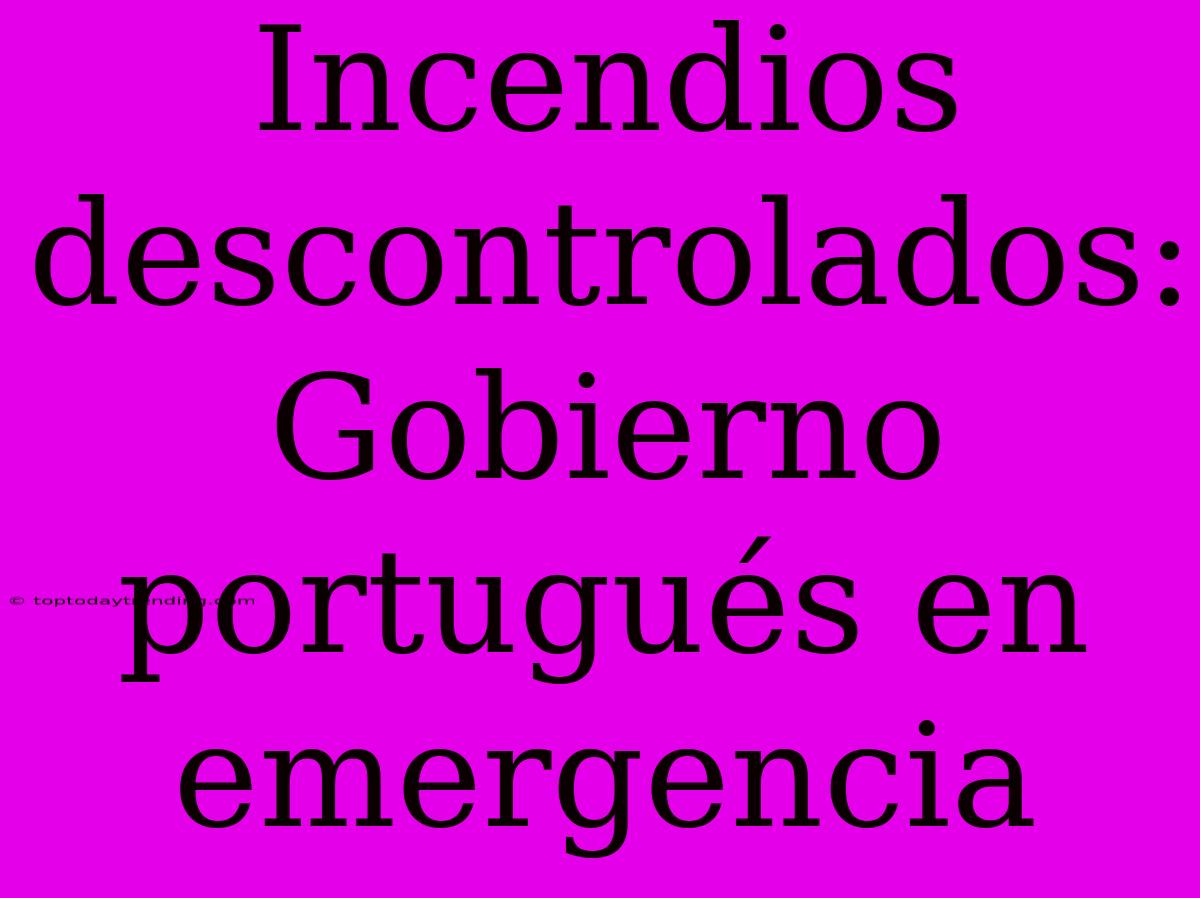 Incendios Descontrolados: Gobierno Portugués En Emergencia